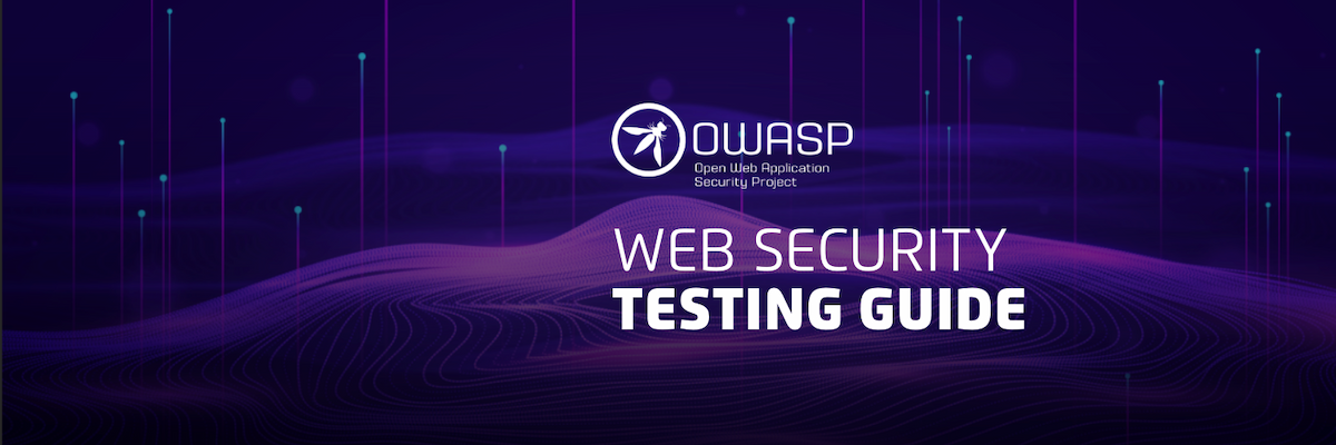 Learn OWASP WSTG